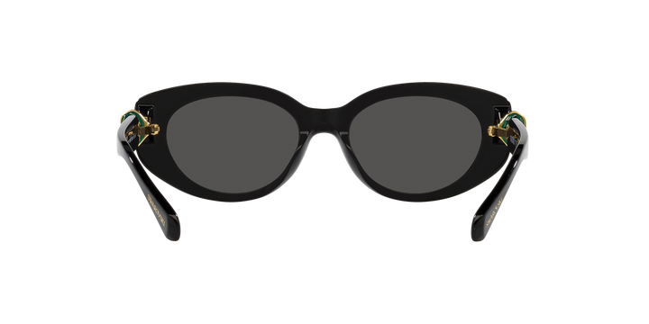 Swarovski 0SK6002
