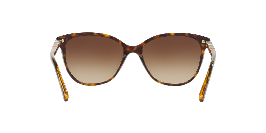 Burberry Havana Scuro