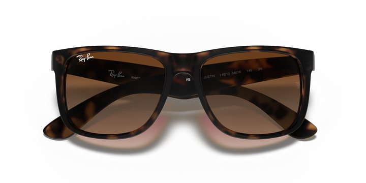 Ray-Ban JUSTIN