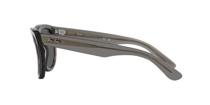 Ray-Ban WAYFARER REVERSE – UNISEX