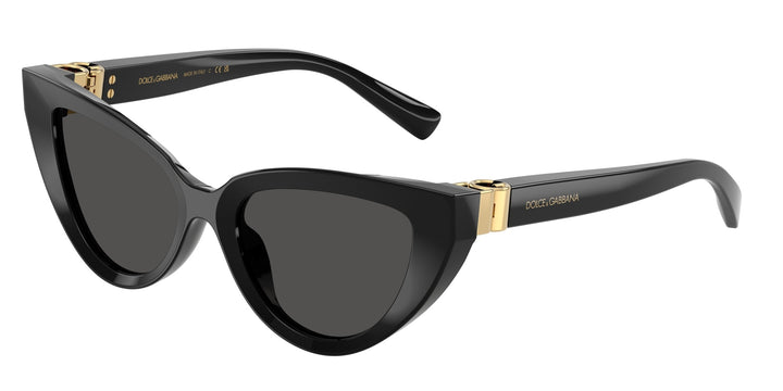 Dolce & Gabbana 0DG4497 501/87