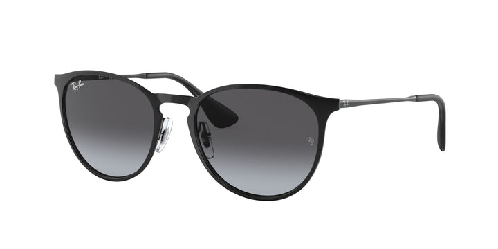 Ray-Ban ERIKA METAL