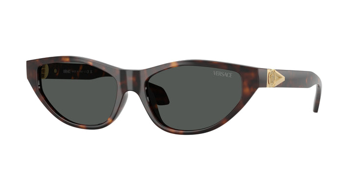 VERSACE 0VE4491U 108/87