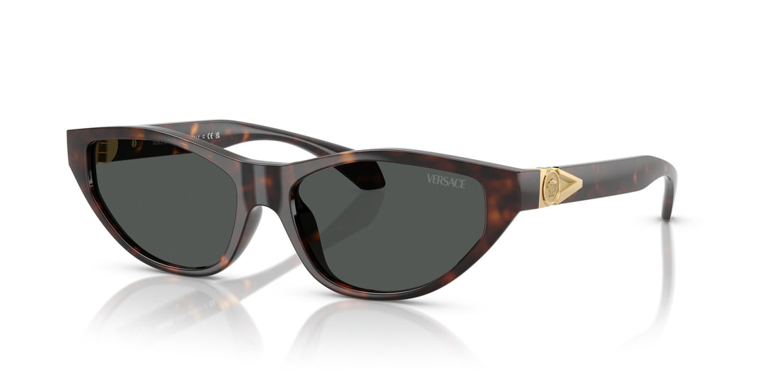VERSACE 0VE4491U 108/87