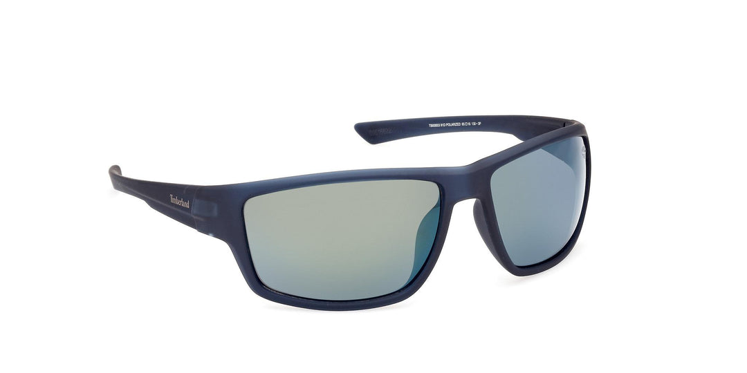 Timberland Polarized