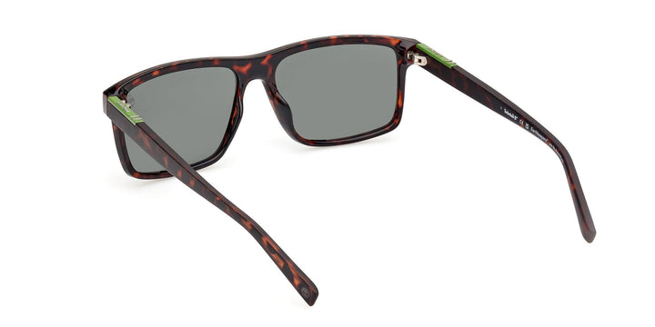 Timberland Polarized