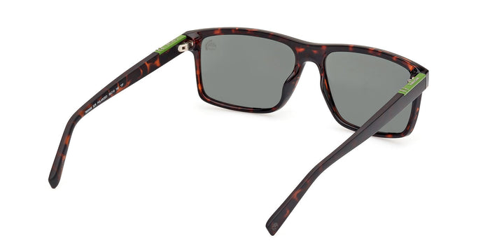 Timberland Polarized