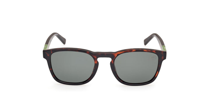 Timberland Polarized