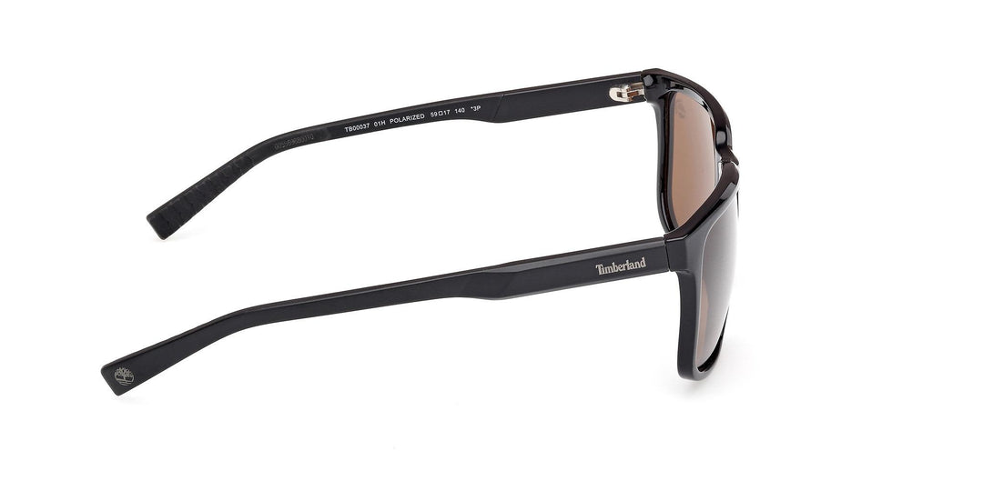 Timberland Polarized