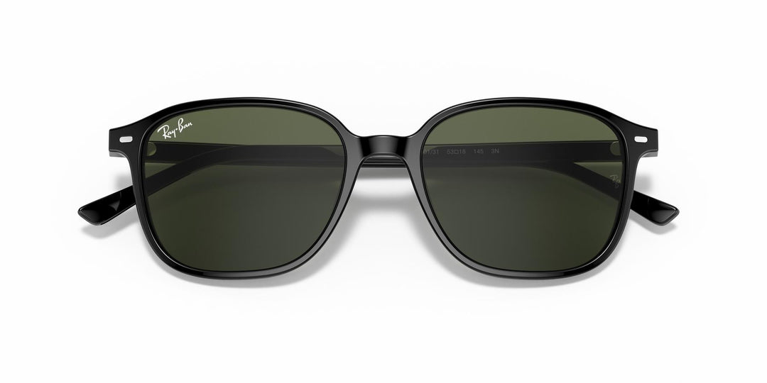 Ray-Ban LEONARD