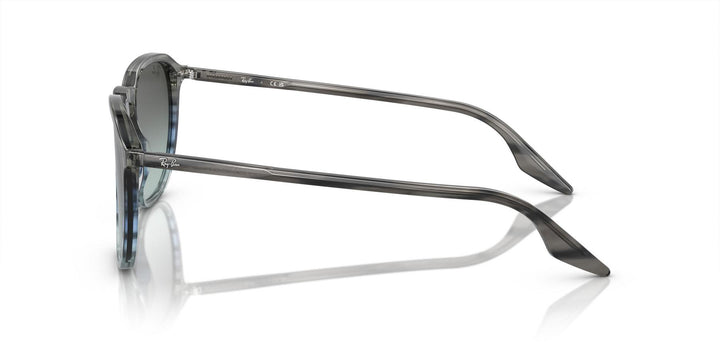 Ray-Ban 0RB2203 1391GK