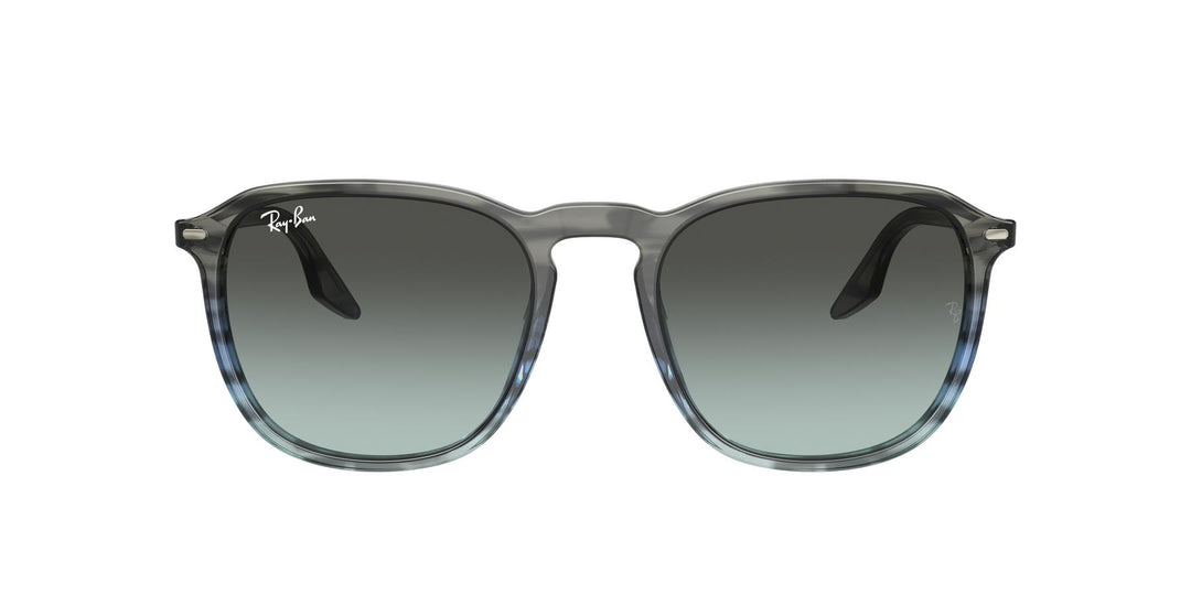 Ray-Ban 0RB2203 1391GK