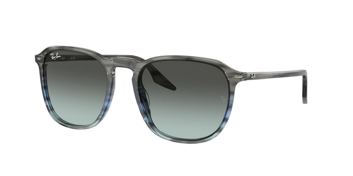 Ray-Ban 0RB2203 1391GK