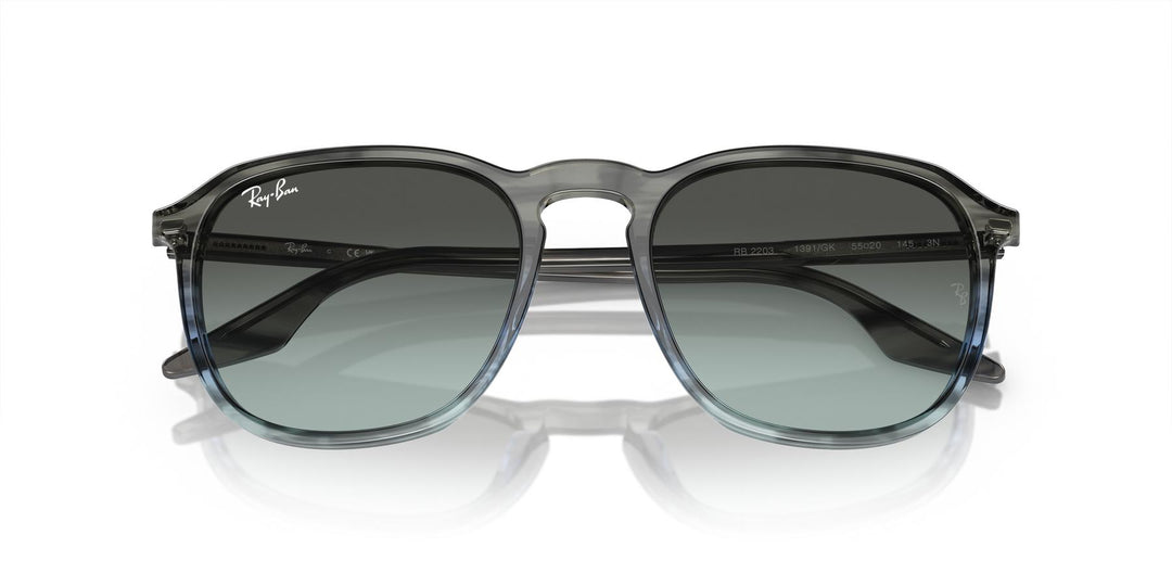 Ray-Ban 0RB2203 1391GK