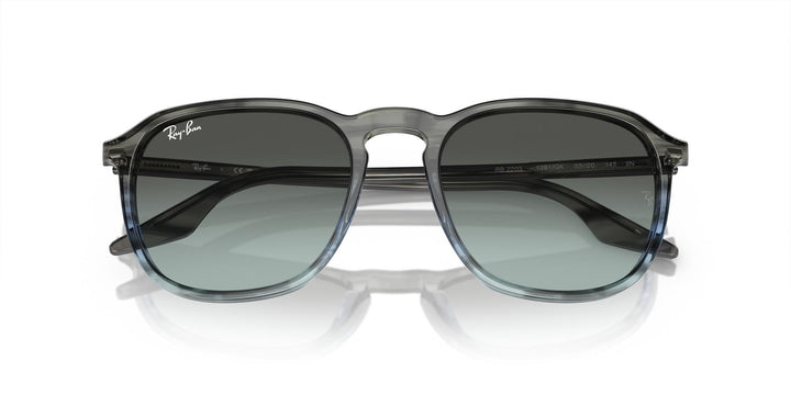 Ray-Ban 0RB2203 1391GK