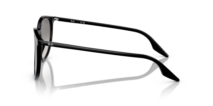 Ray-Ban 0RB2204 901/32