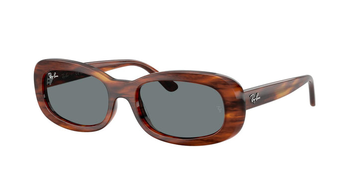Ray-Ban 0RB2221 954/62