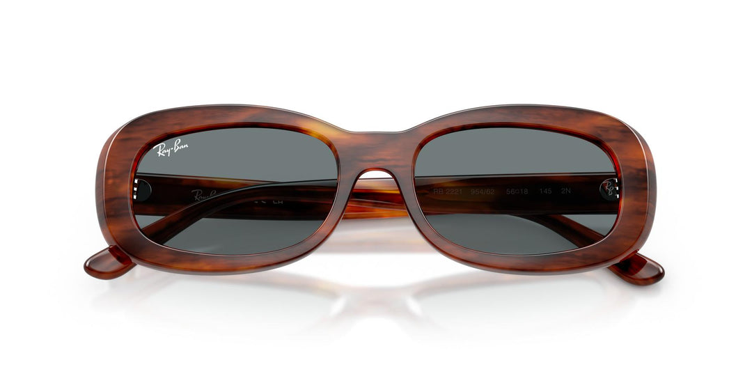 Ray-Ban 0RB2221 954/62