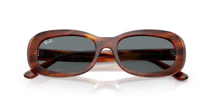 Ray-Ban 0RB2221 954/62