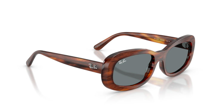 Ray-Ban 0RB2221 954/62