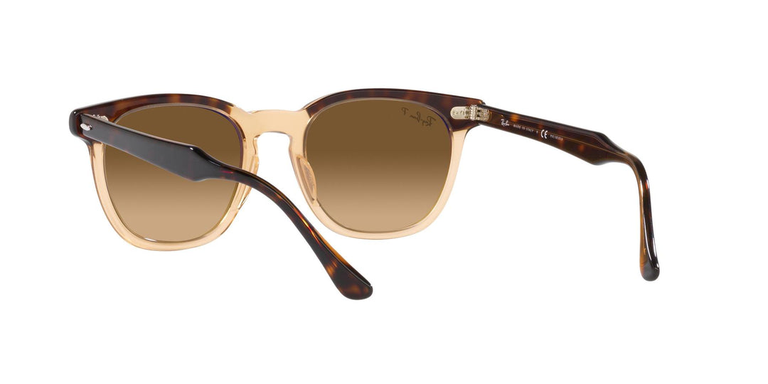 Ray-Ban HAWKEYE