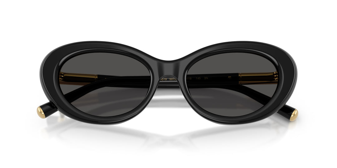 Dolce & Gabbana 0DG4519 501/87