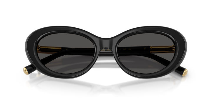 Dolce & Gabbana 0DG4519 501/87