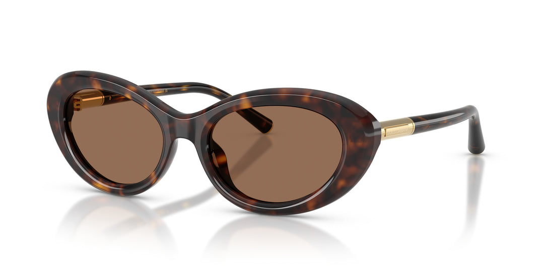 Dolce & Gabbana 0DG4519 502/73