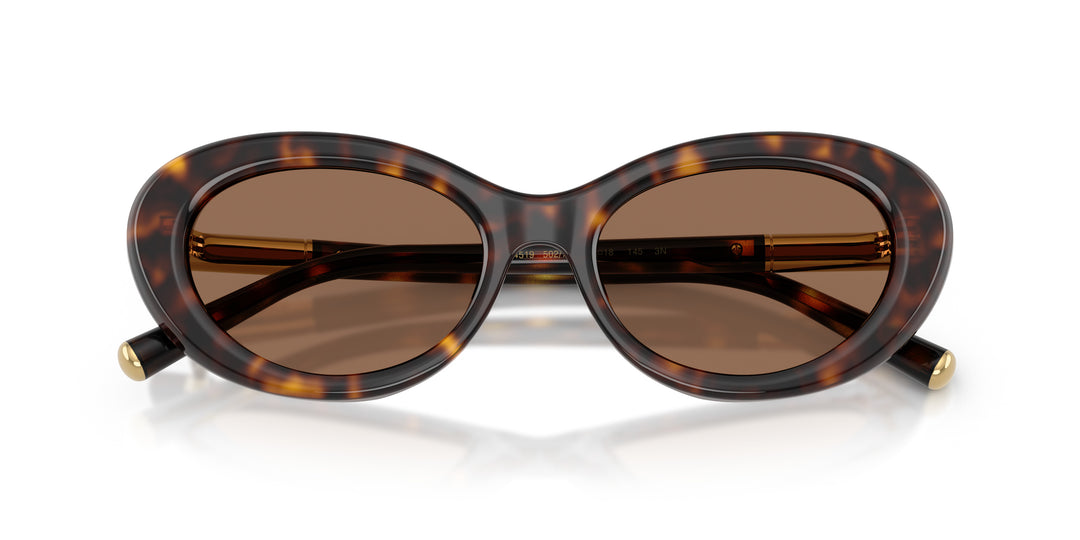 Dolce & Gabbana 0DG4519 502/73