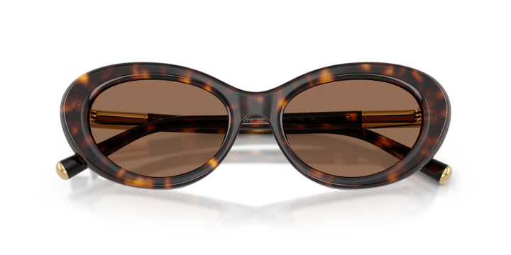 Dolce & Gabbana 0DG4519 502/73