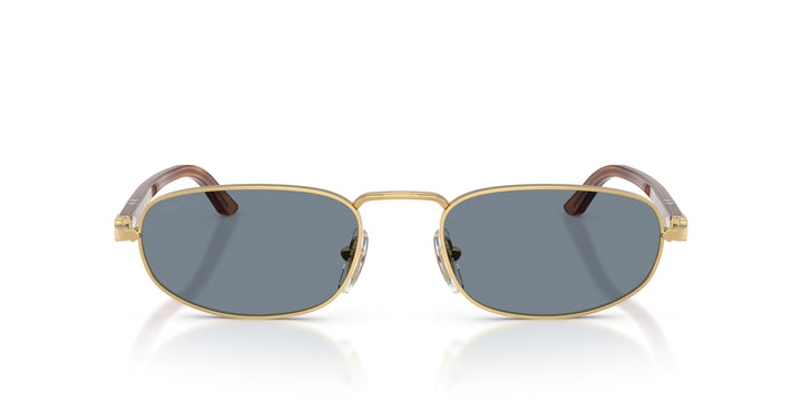 Persol 0PO1028S 113256
