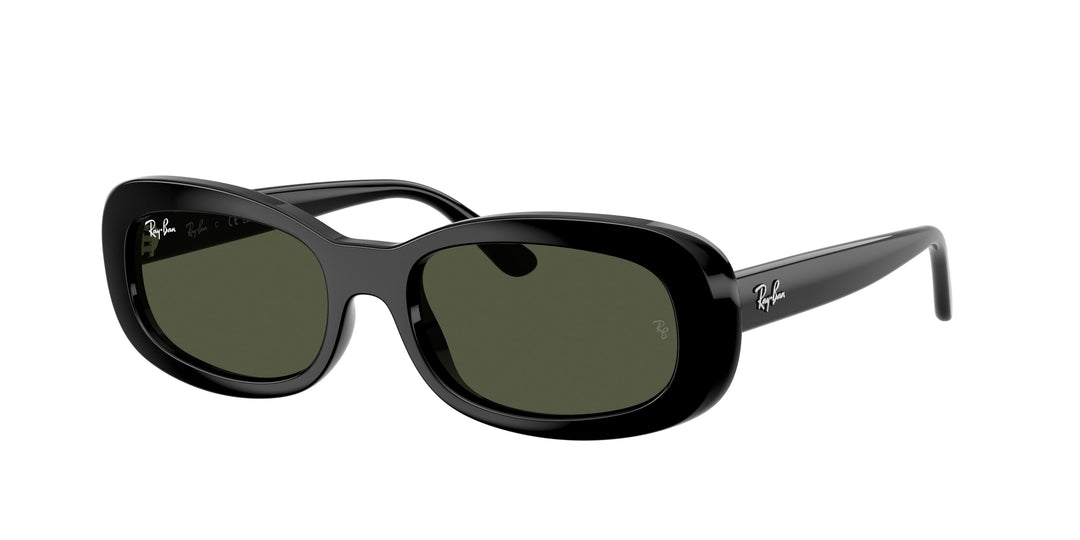 Ray-Ban 0RB2221 901/31