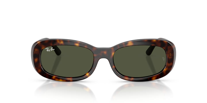 Ray-Ban 0RB2221 902/31