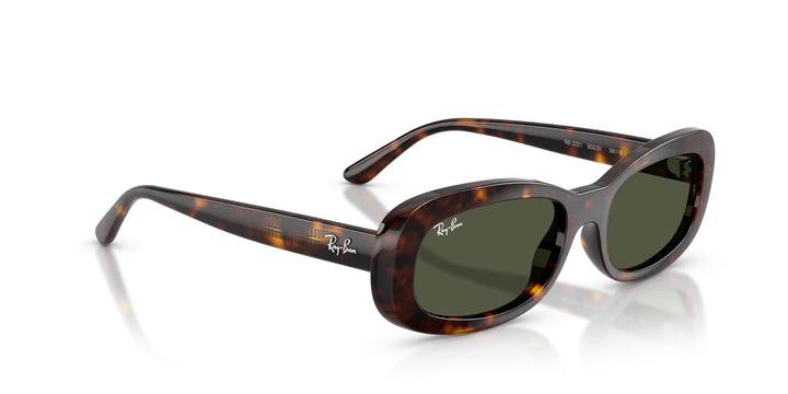 Ray-Ban 0RB2221 902/31