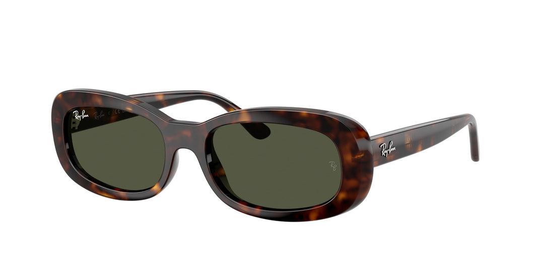 Ray-Ban 0RB2221 902/31