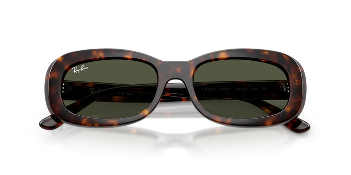 Ray-Ban 0RB2221 902/31