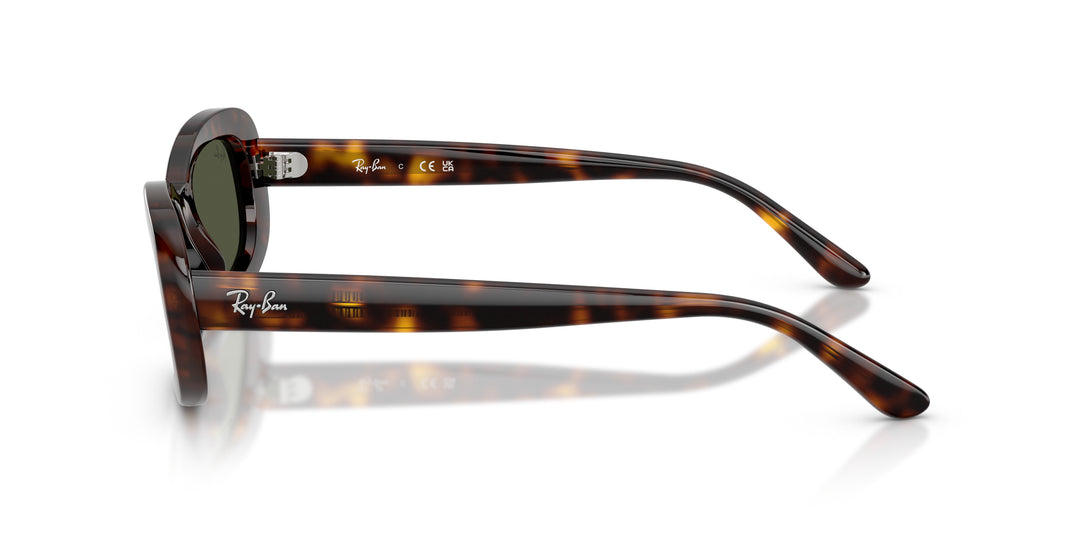 Ray-Ban 0RB2221 902/31
