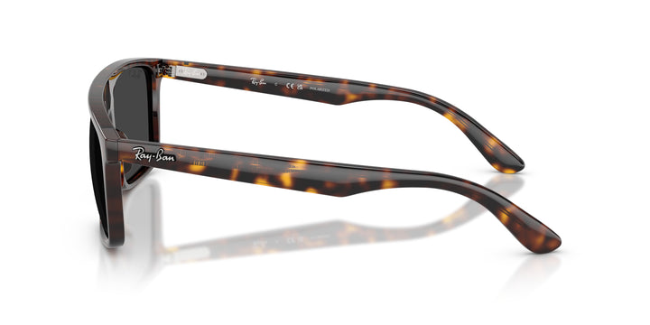 Ray-Ban 0RB2222 902/48