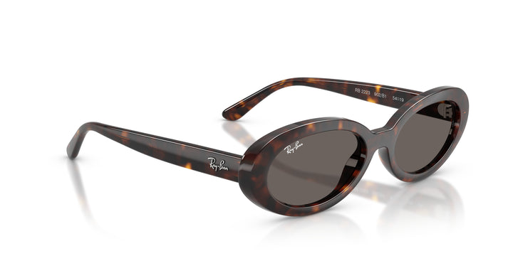 Ray-Ban 0RB2223 902/B1