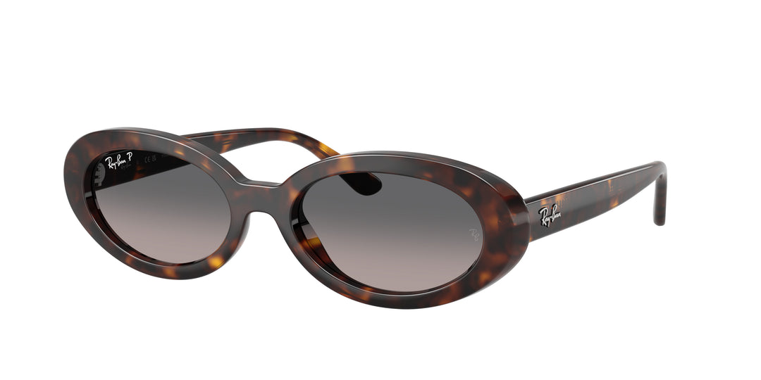 Ray-Ban 0RB2223 902/B1