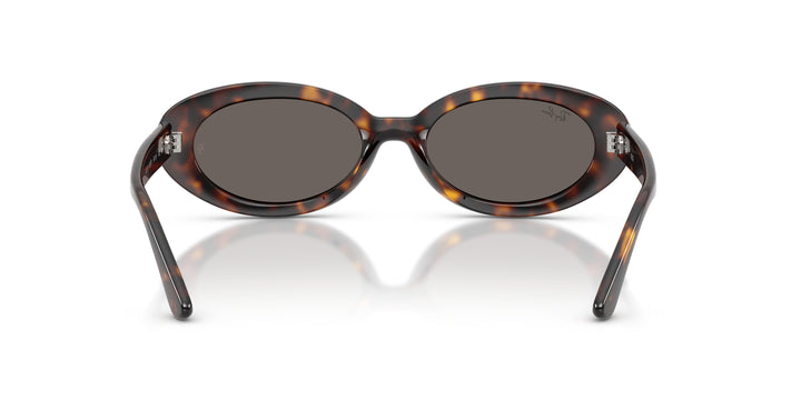 Ray-Ban 0RB2223 902/B1