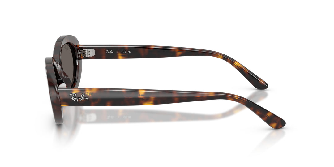 Ray-Ban 0RB2223 902/B1
