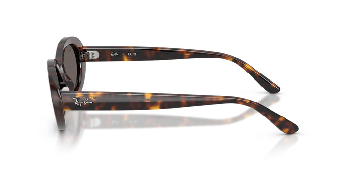 Ray-Ban 0RB2223 902/B1