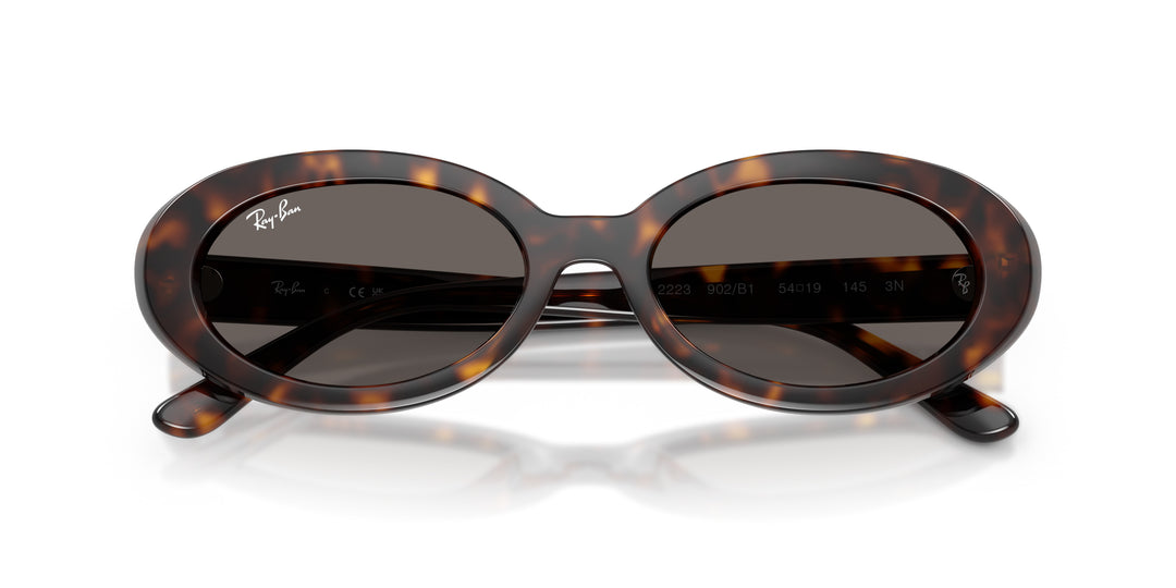 Ray-Ban 0RB2223 902/B1