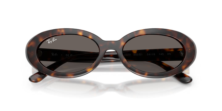 Ray-Ban 0RB2223 902/B1