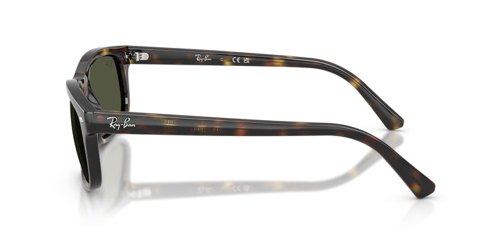 Ray-Ban 0RB2224 710/31