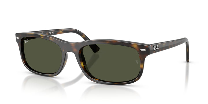 Ray-Ban 0RB2224 710/31