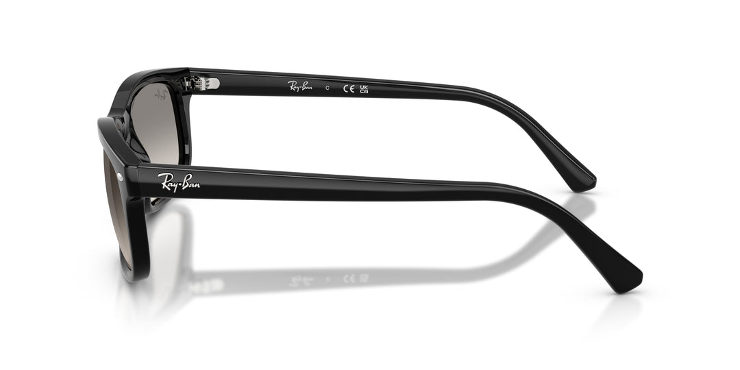 Ray-Ban 0RB2224 901/32