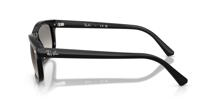 Ray-Ban 0RB2224 901/32