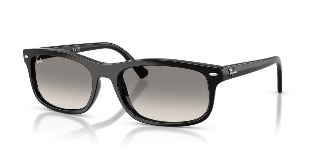 Ray-Ban 0RB2224 901/32